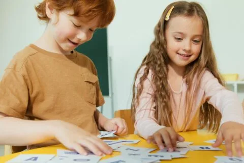 Anki Flashcard App