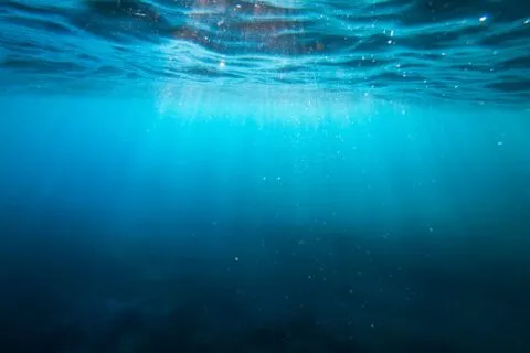 Deep Dive: In-Depth Technology Analysis and Explainers | Photo by Cristian Palmer on Unsplash