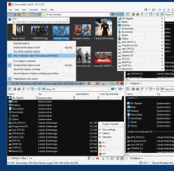 Q-Dir quad-pane file explorer screenshot from the official SoftwareOK site