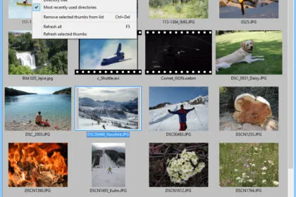 Official IrfanView screenshot showing the thumbnail browser interface with image folders and photo previews