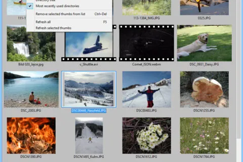 Official IrfanView screenshot showing the thumbnail browser interface with image folders and photo previews