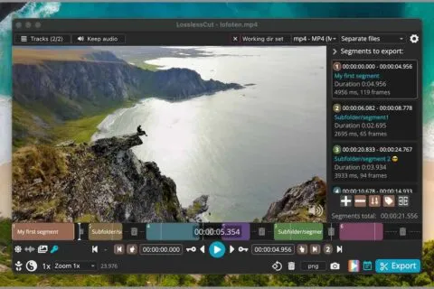 Official LosslessCut screenshot from the official GitHub repository