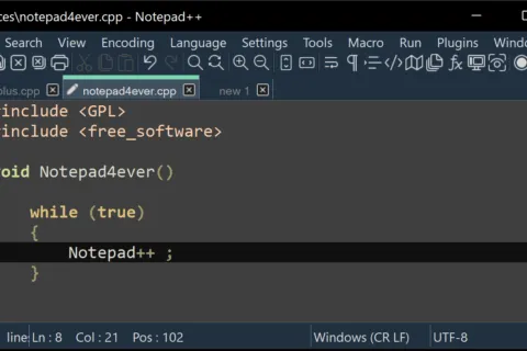 Notepad++ code editor and project branding on Windows