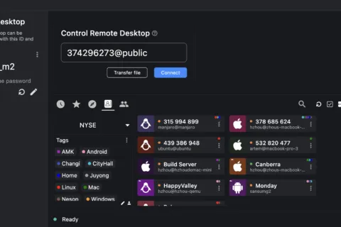 RustDesk open-source remote desktop interface on desktop